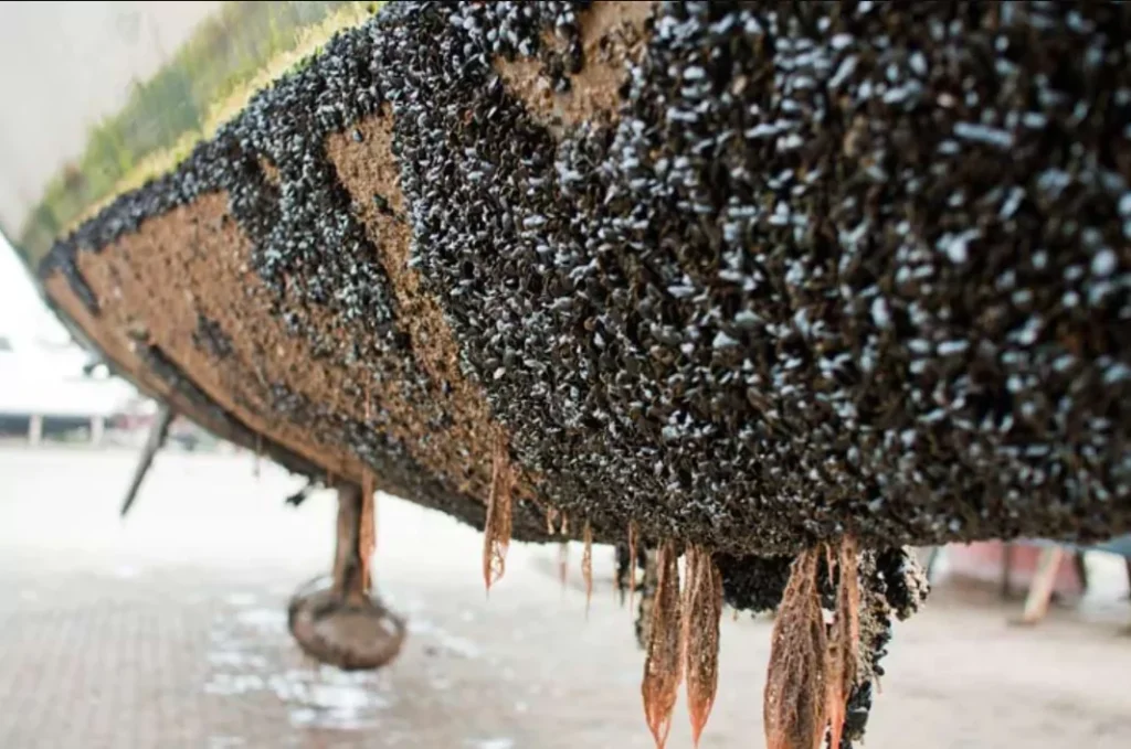 Maritieme Coatings - Scheepvaart-Antwerpen